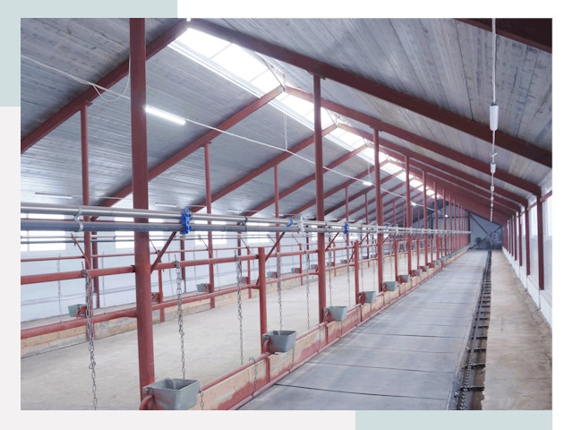 Строительство коровников в Санкт-Петербурге от 638 руб.