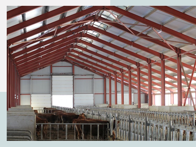 Строительство коровников в Санкт-Петербурге