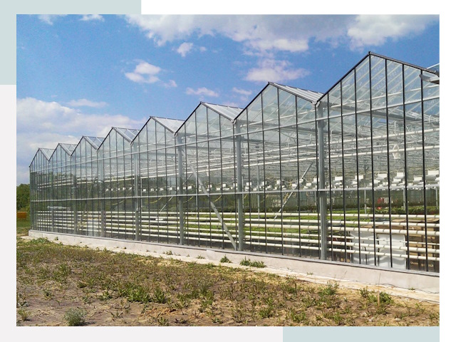 Строительство теплиц в Санкт-Петербург от 638 руб. за м²