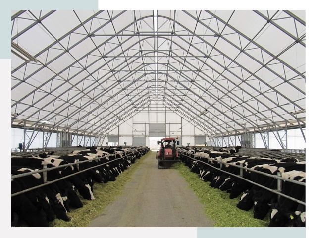 Тентовые коровники в Санкт-Петербурге от 638 руб. - Надежно и доступно