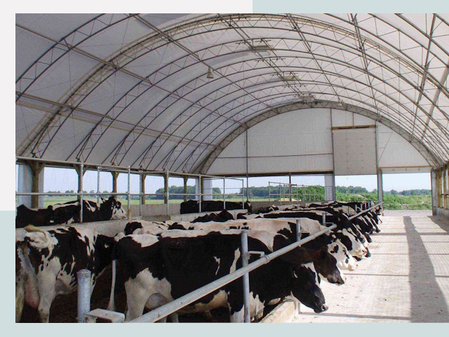 Тентовые коровники в Санкт-Петербурге